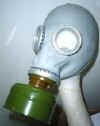 gasmask2.jpg (21807 bytes)