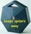 spider ban from home